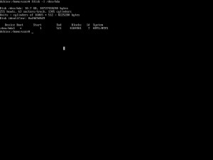 fdisk disk size