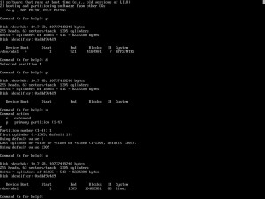 FDISk resizing