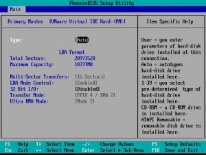 BIOS showing new hard drive